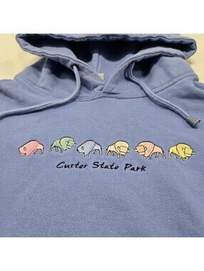 Sz L/XL Vintage Custer State Park Blue Hoodie Embroidered Pastel Buffalo 90s ESY